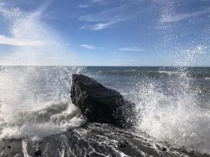 15 Wave
