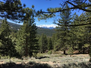 Desolation Wilderness      