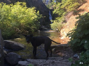 Hawley Falls     