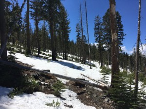 Snow on trail      