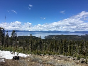 Tahoe      