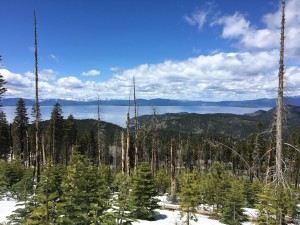 Tahoe2      